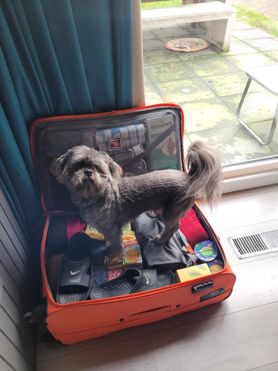 Jeremy Beats MS – Een blog vanuit Mexico! Deel 1