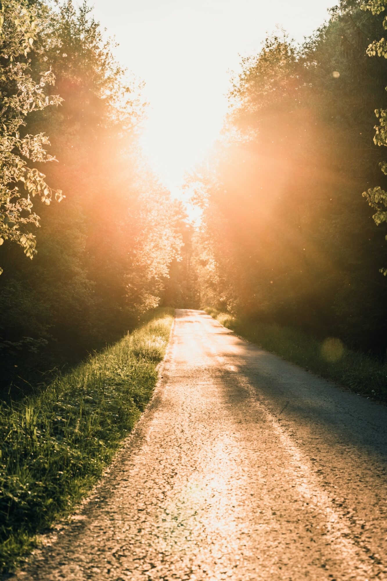 Gedicht – Mijn Weg